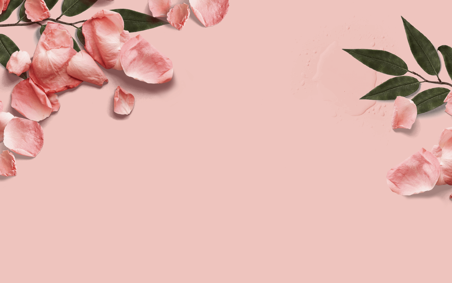Premium Quality Fragrance Oils & Perfumes - Scentella