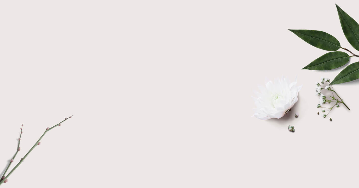 Women’s Fragrances - Scentella