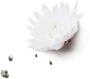 Scentella