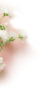 Scentella
