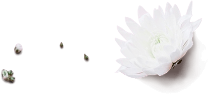 Scentella